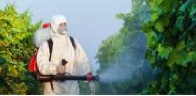 France: Winery Found Guilty of Pesticide Poisoning